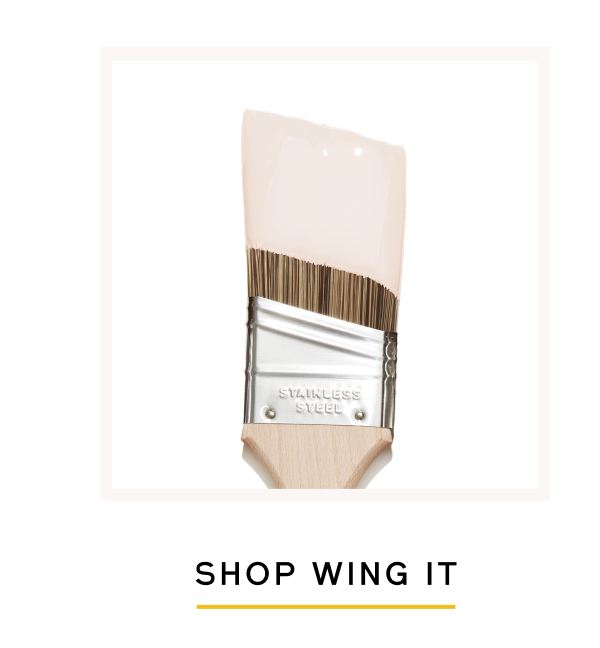 Shop Wing It