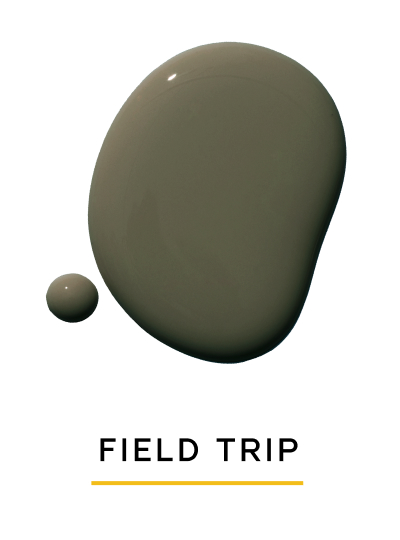 FIELD TRIP