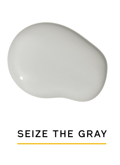 SEIZE THE GRAY