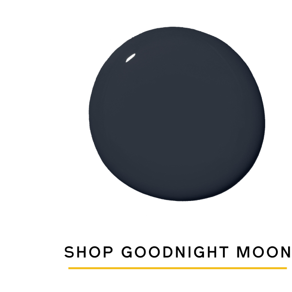 Shop Goodnight Moon