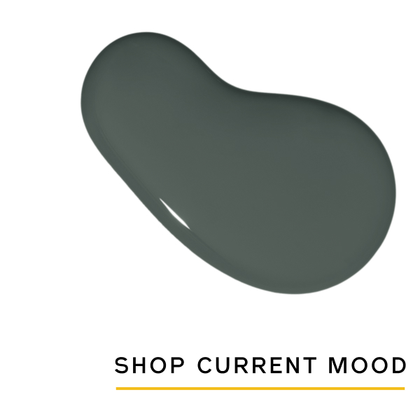 Shop Current Mood