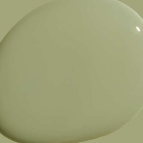 Extra Virgin paint color