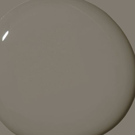 Dirty Chai paint color