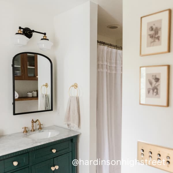 Bathroom color drenched in Whipped paint color