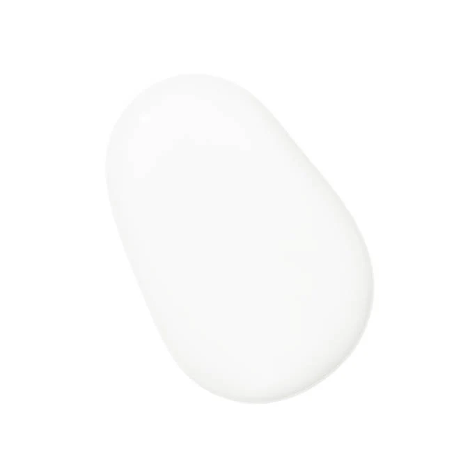 Image of Snow Day
