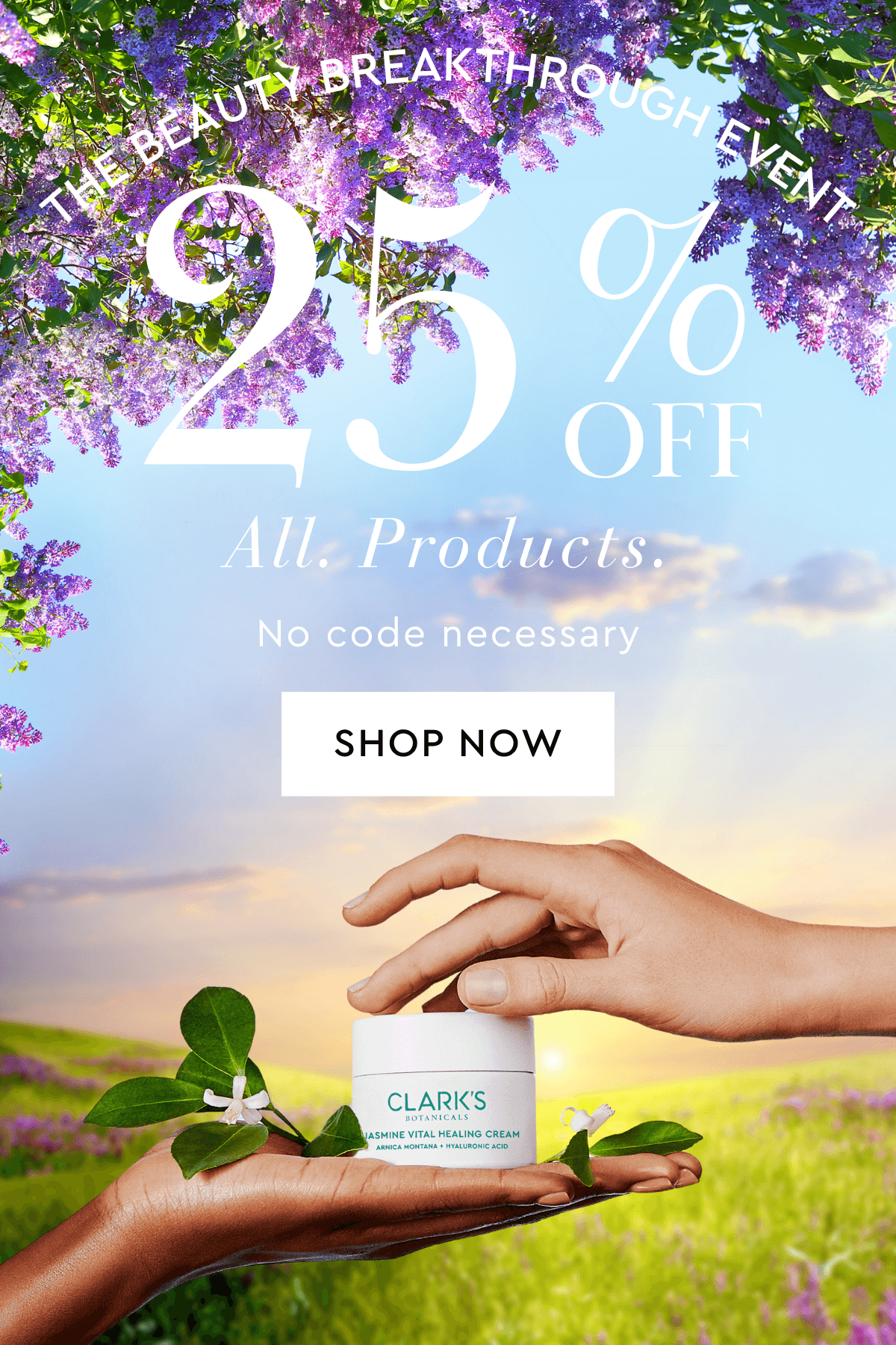25% off sitewide