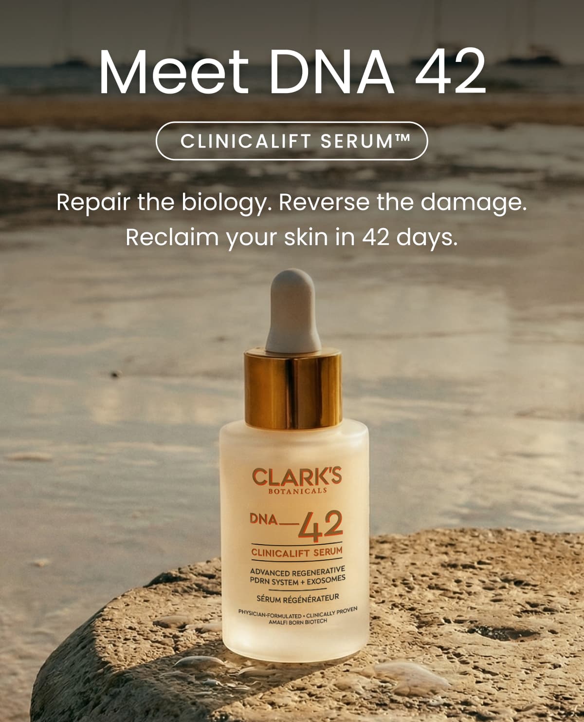 DNA 42