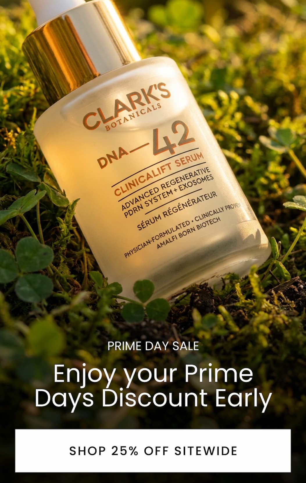 Prime Day Early Discount
