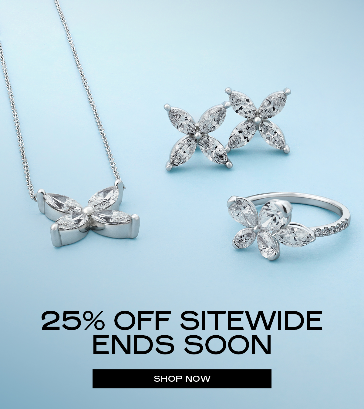 25% OFF SITEWIDE ENDS SOON [SHOP NOW]