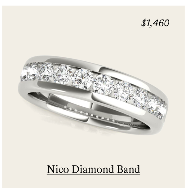 Nico Diamond Band
