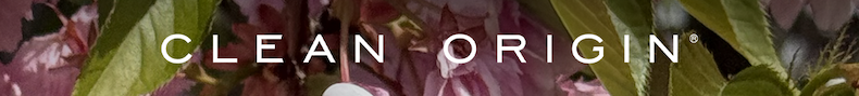 CLEAN ORIGIN