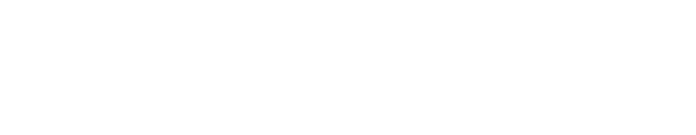 clean program