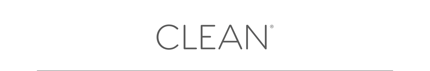 clean program