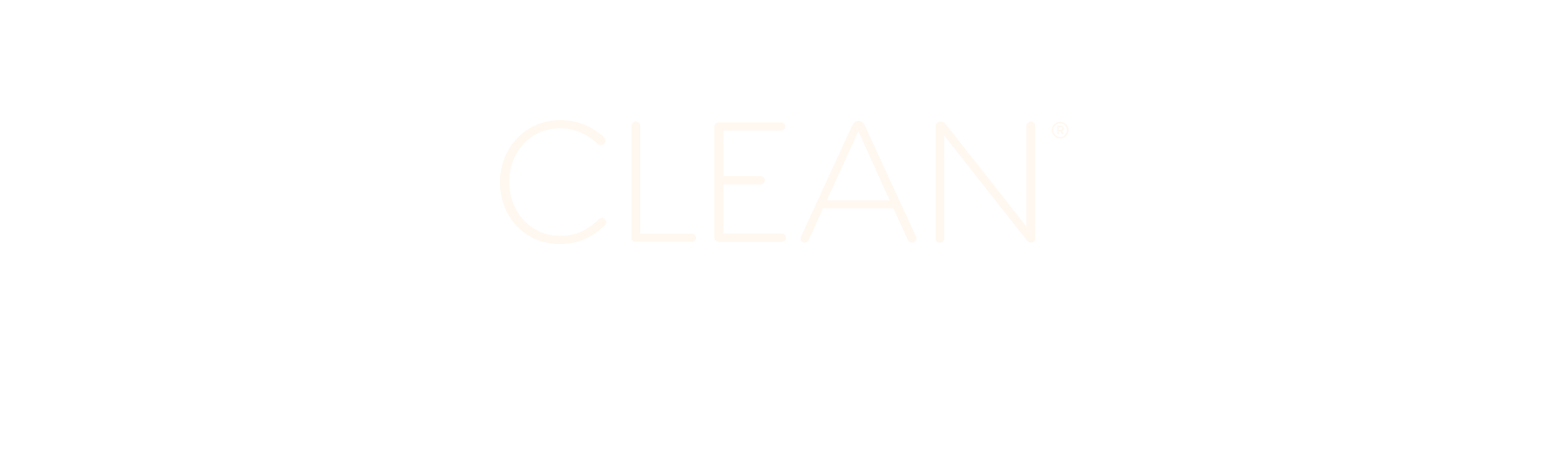 clean program