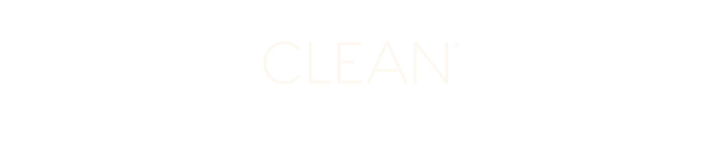clean program