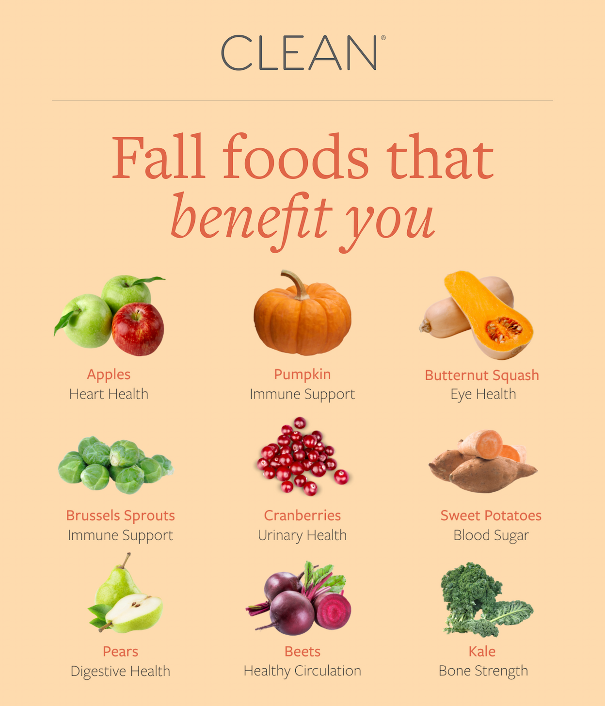 Fall foods that benefit you