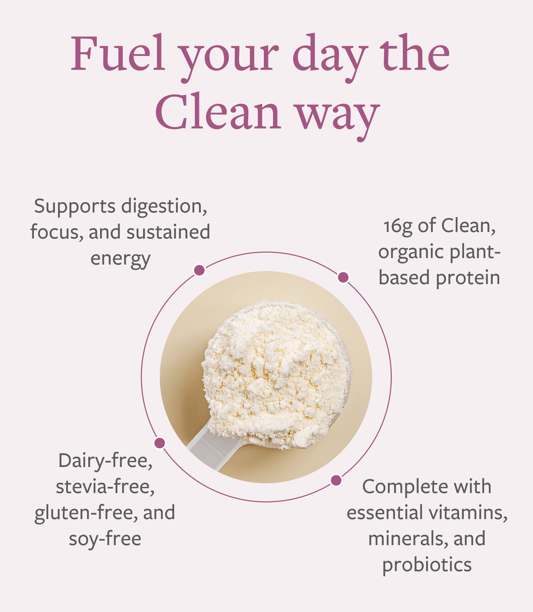 Animal Vs Plant Protein