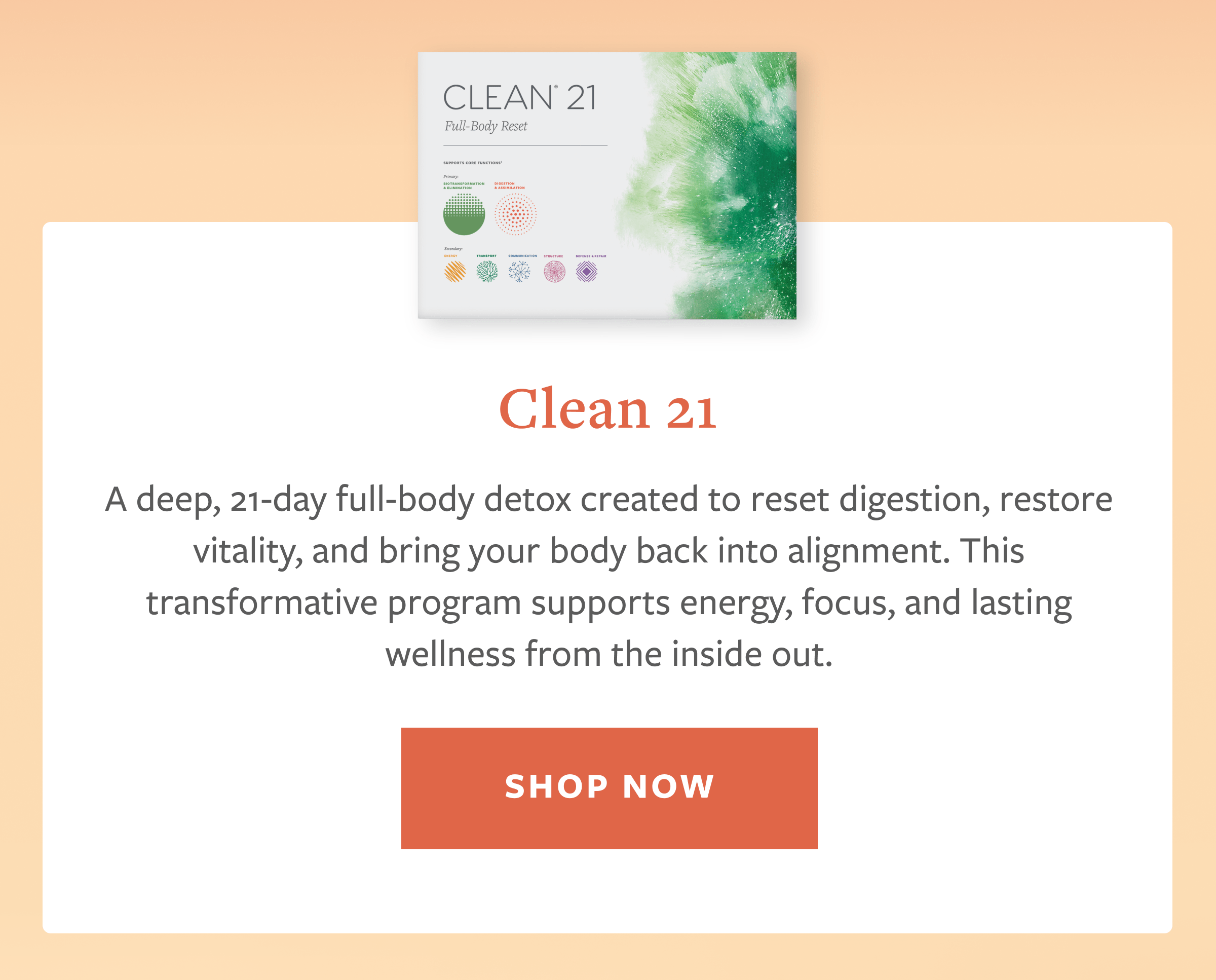 Clean21