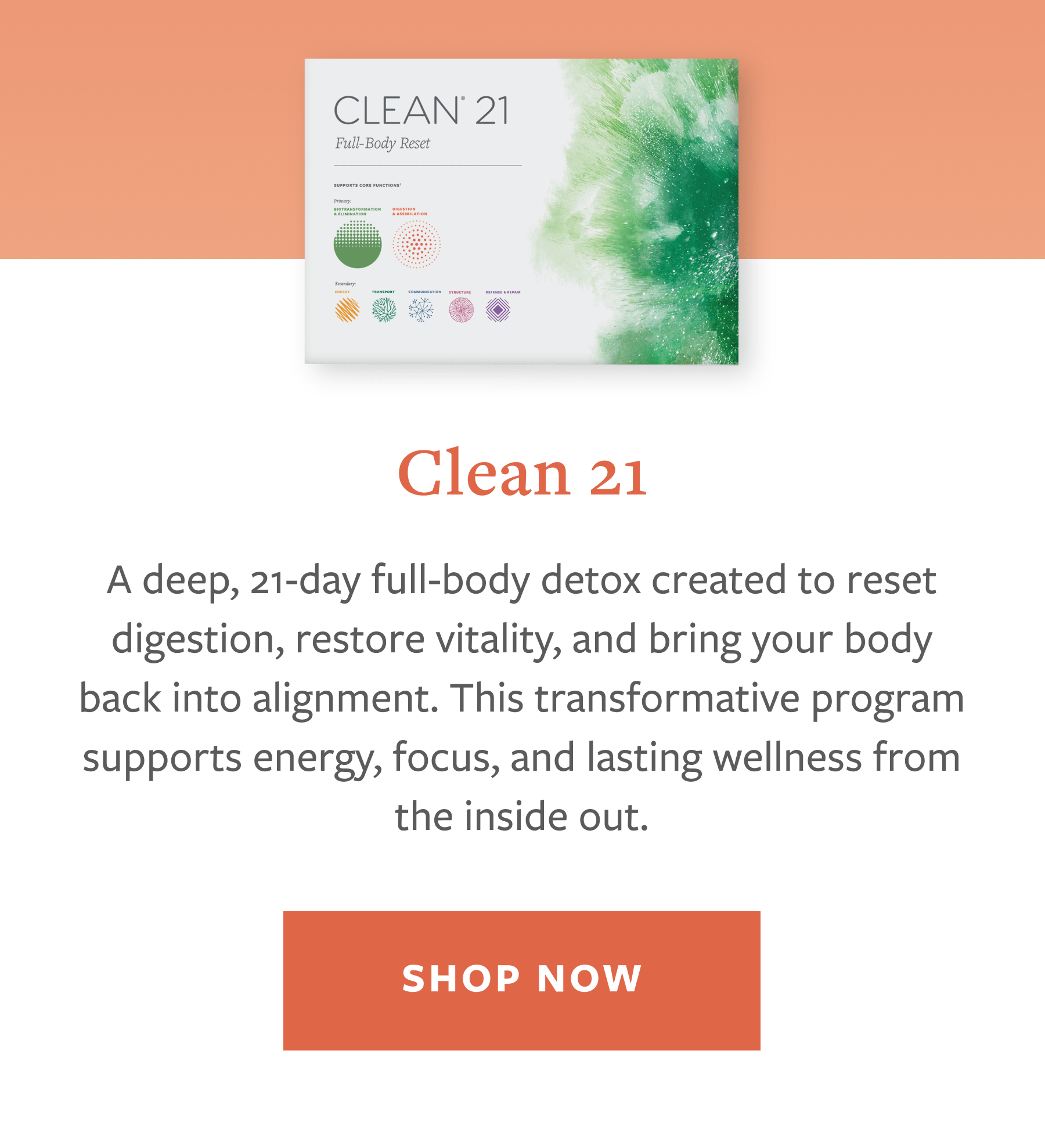 Clean21