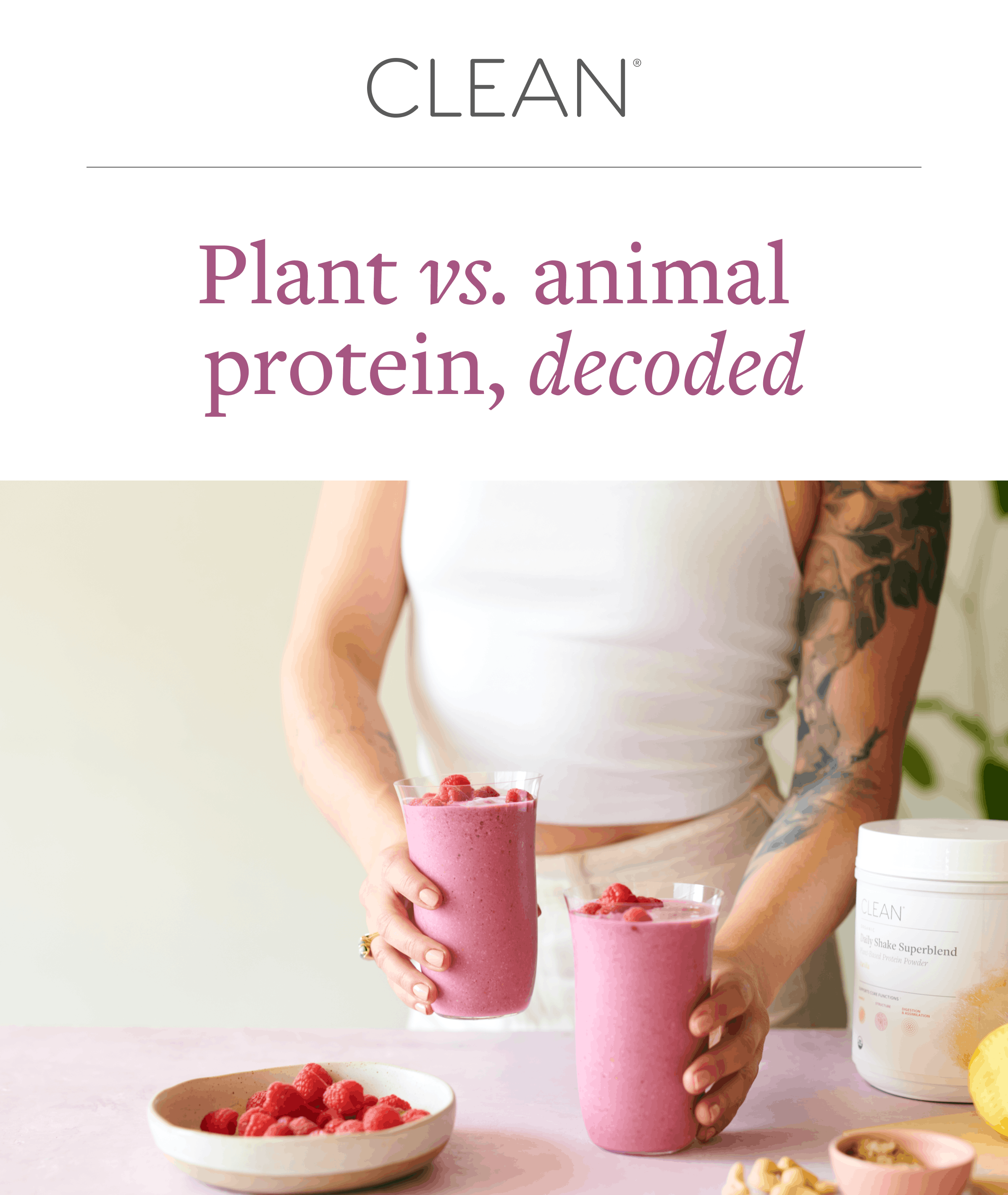 Plant vs Animal Protein