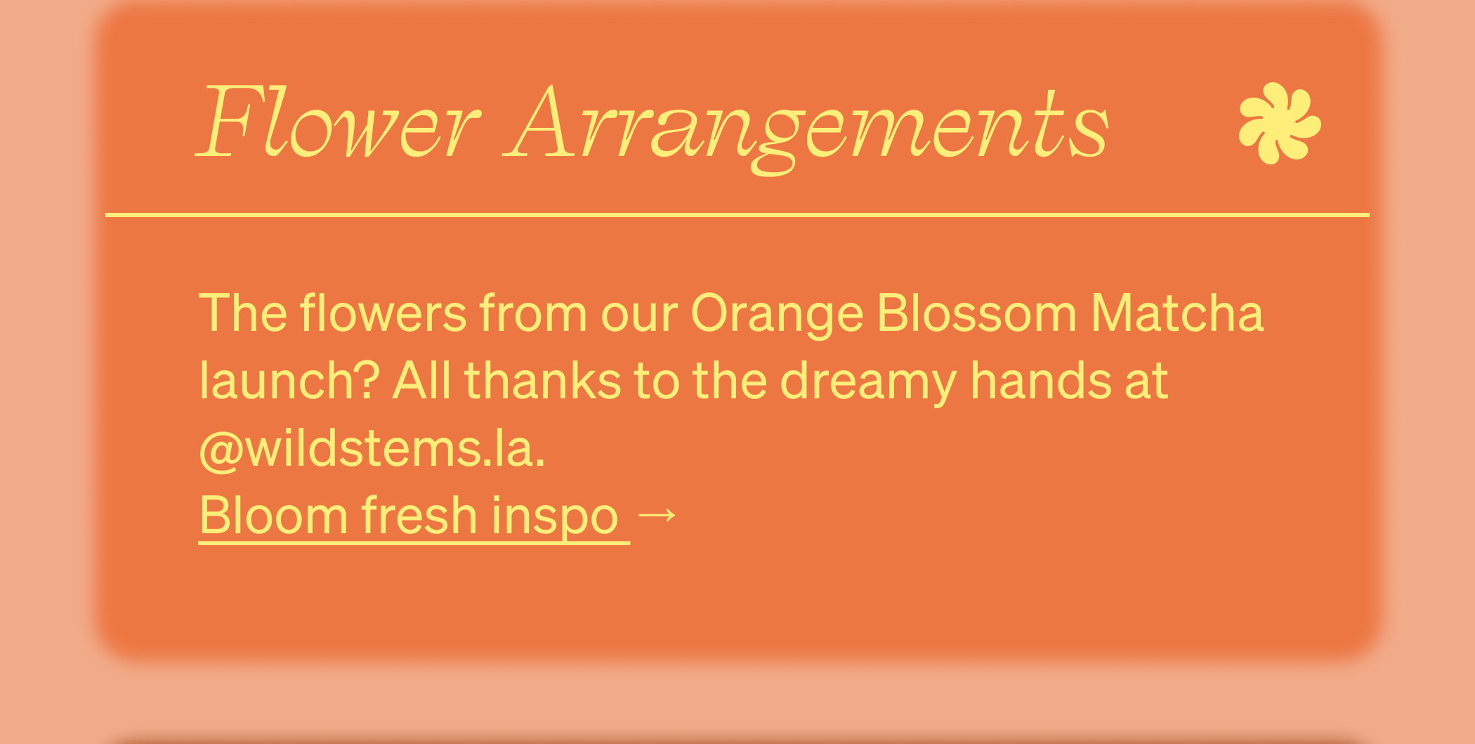 Flower Arrangements&nbsp; The flowers from our Orange Blossom Matcha launch? All thanks to the dreamy hands at @wildstems.la.  Bloom fresh inspo →  