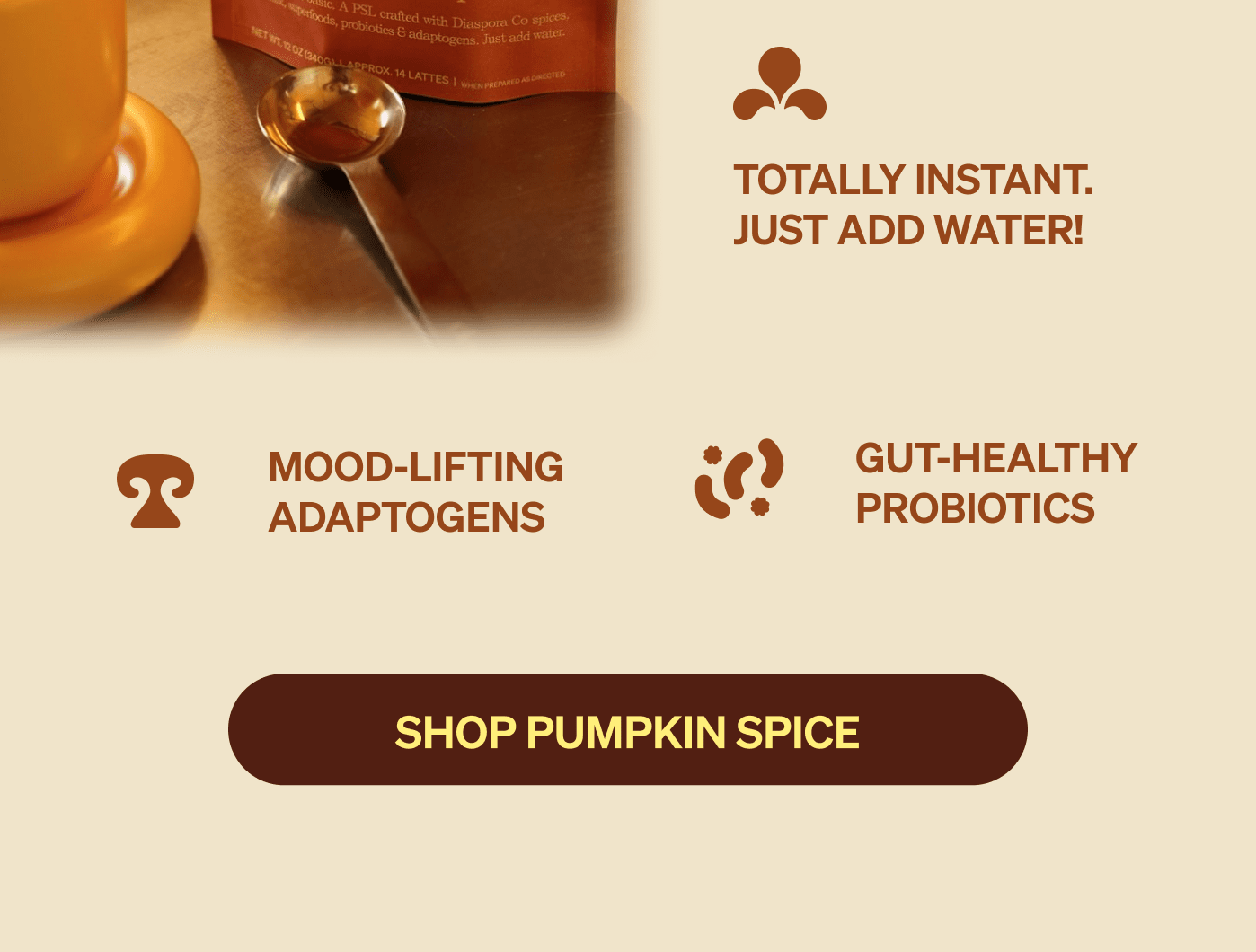 SHOP PUMPKIN SPICE