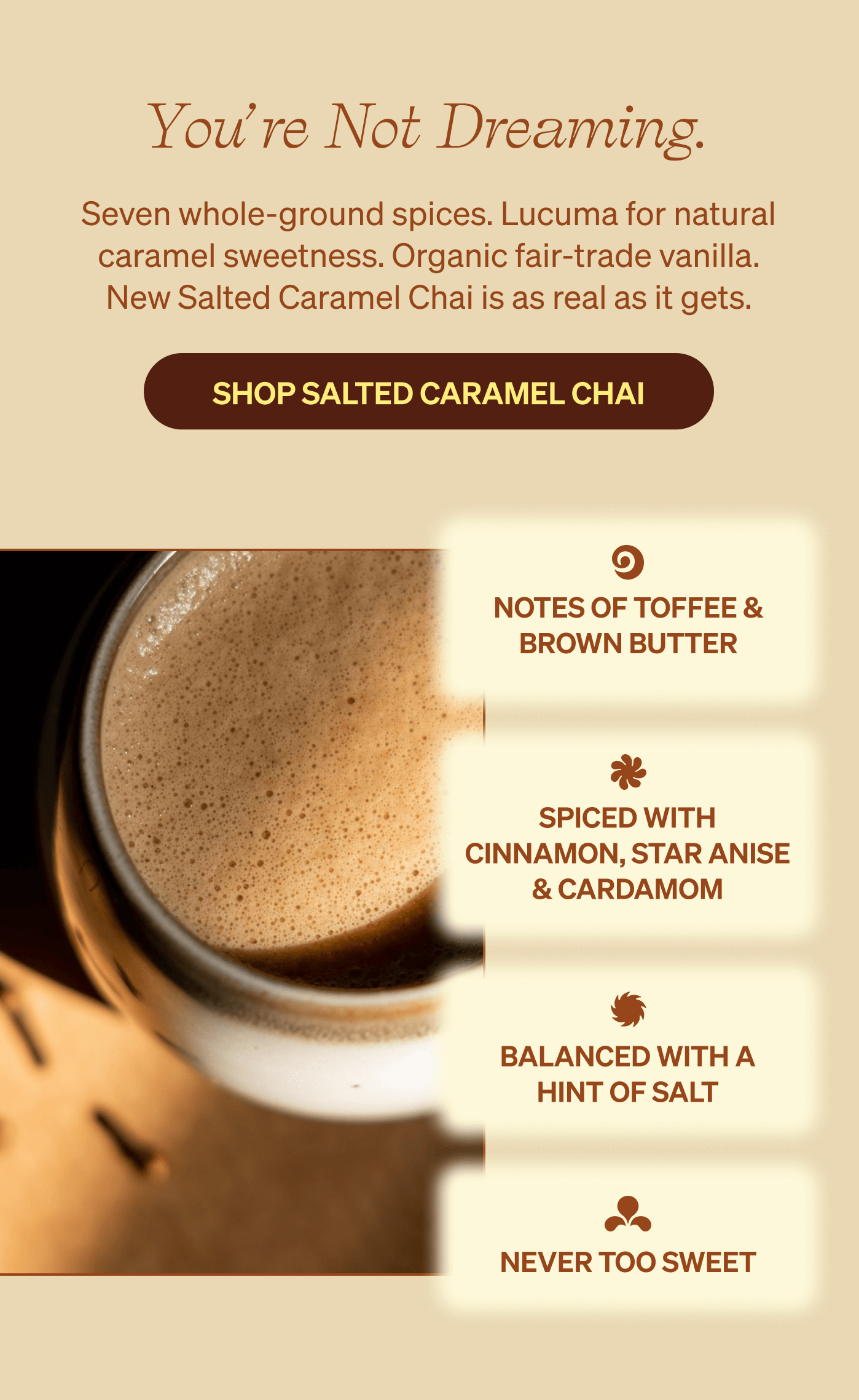 You're Not Dreaming. Seven whole-ground spices. Lucuma for natural caramel sweetness. Organic fair-trade vanilla. New Salted Caramel Chai is as real as it gets. [SHOP SALTED CARAMEL CHAI] NOTES OF TOFFEE & BROWN BUTTER, SPICED WITH CINNAMON, STAR ANISE & CARDAMOM, BALANCED WITH A HINT OF SALT, NEVER TOO SWEET