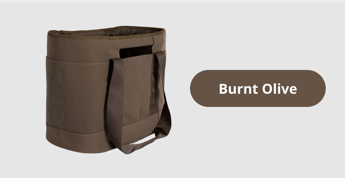 Burnt Olive