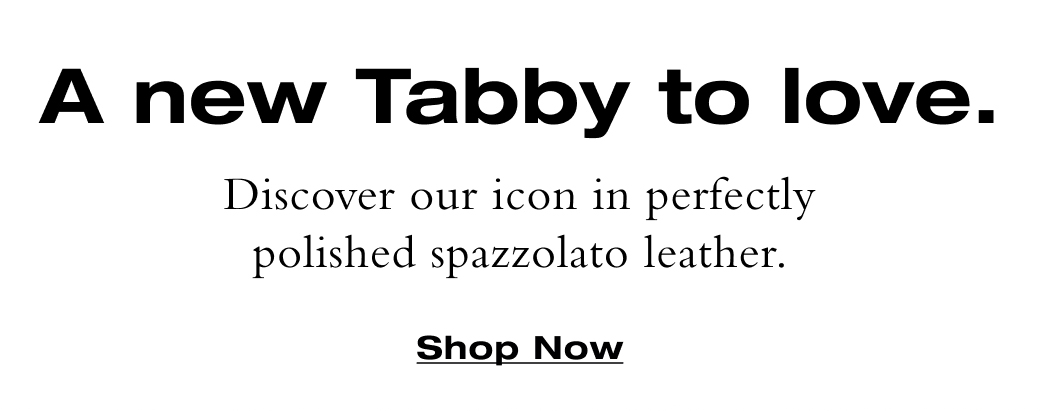 A new Tabby to love.