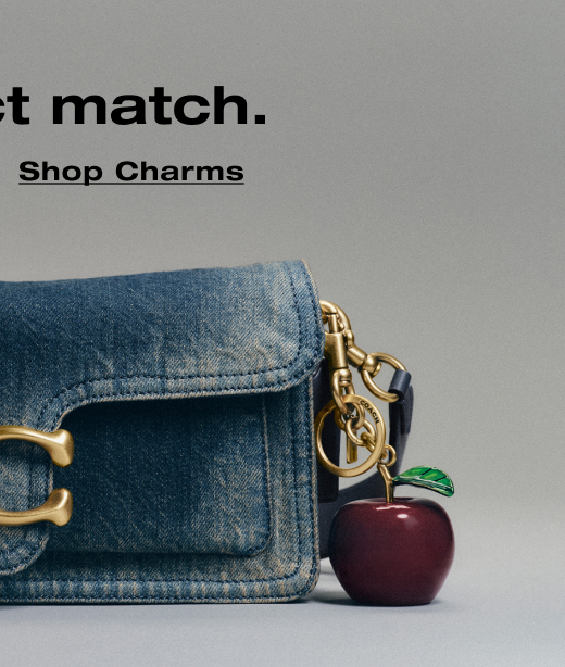 SHOP CHARMS