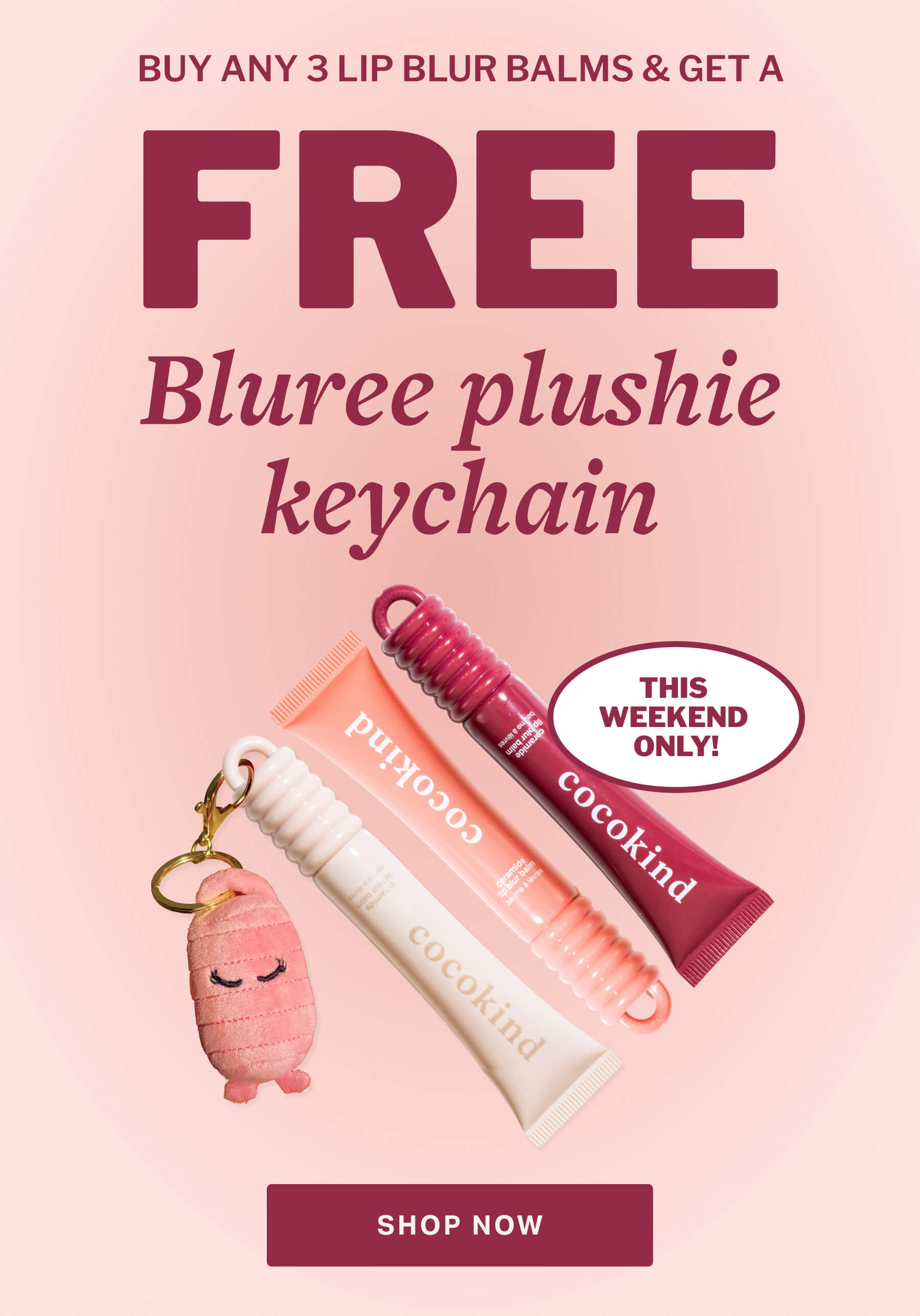 BUY ANY 3 LIP BLUR BALMs & get bluree plushie keychain FREE