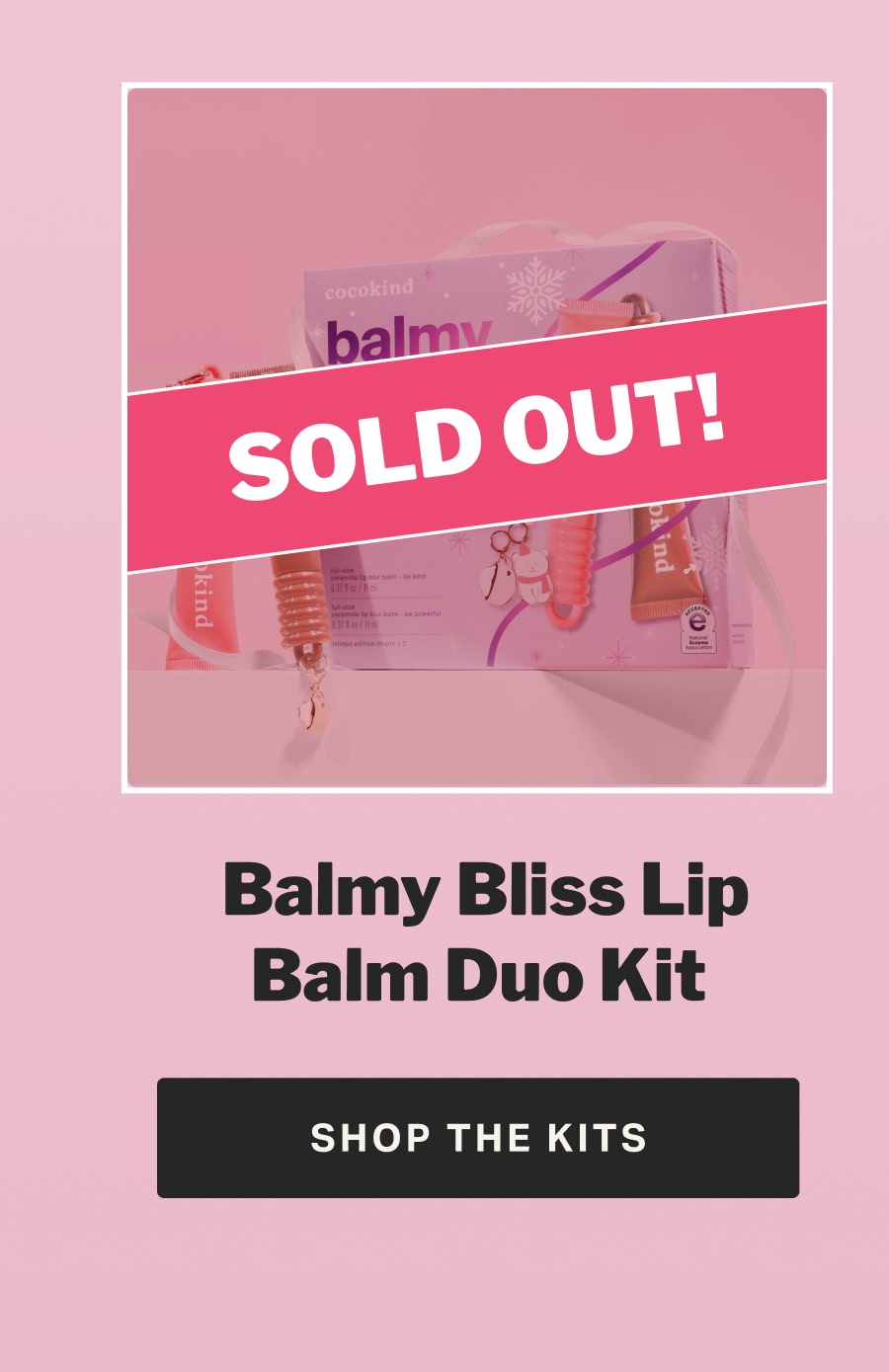 Balmy Bliss lip Balm Duo Kit