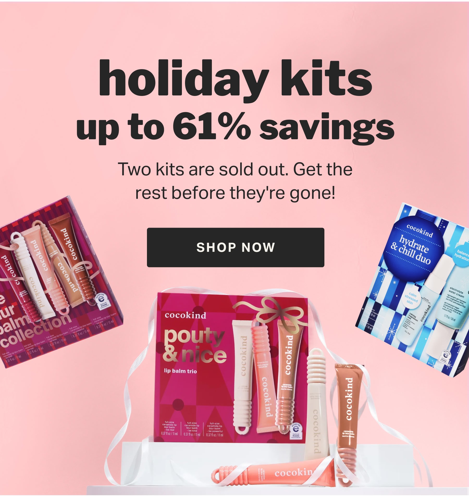 holiday kits up to 61% savings