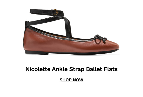 Nicolette Ankle Strap Ballet Flats | SHOP NOW