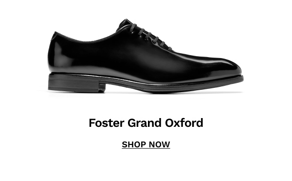 Foster Grand Oxford | SHOP NOW