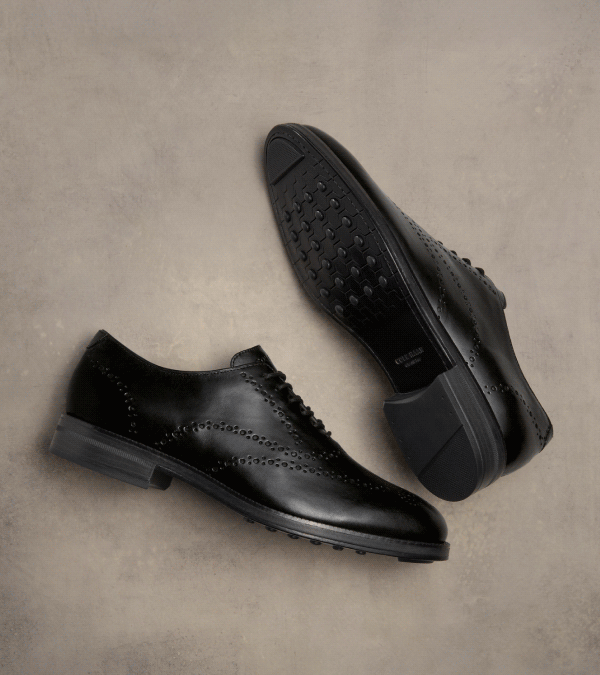 Fresh Fall Picks 