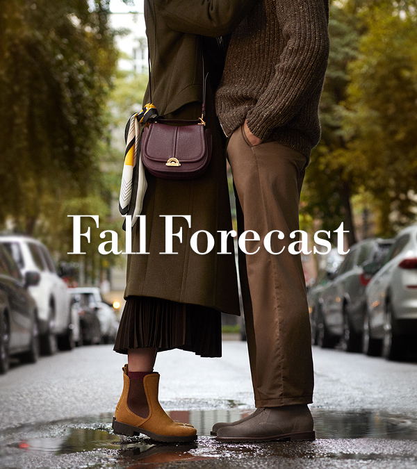 Fall Forecast