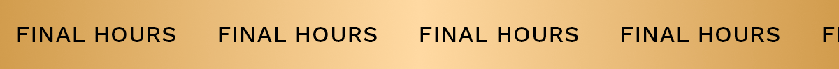 Final Hours