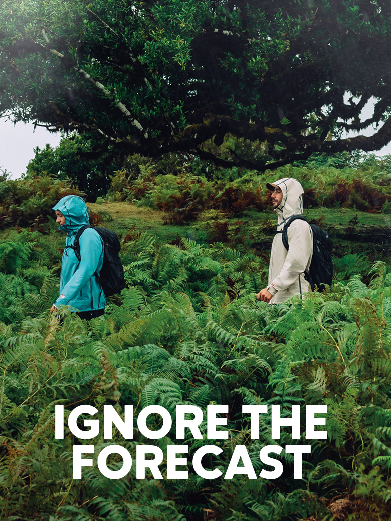 Hikers in the forest. IGNORE THE FORECAST