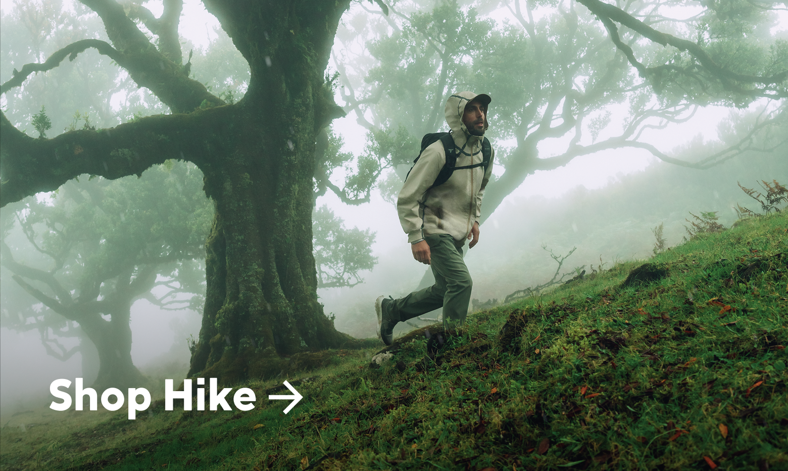 A man hiking through a foggy forest