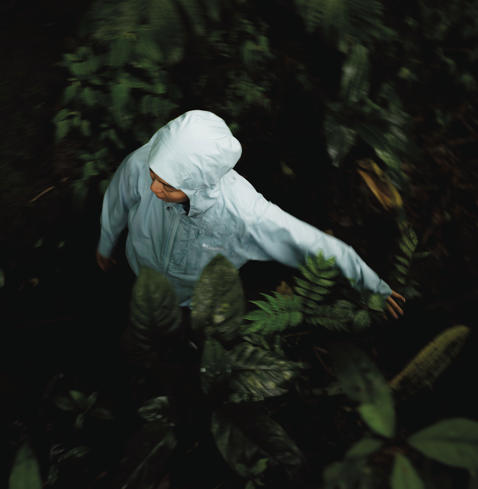 Aerial view of a hiker walking through a wet forest, wearing a light blue rain jacket with the hood up.