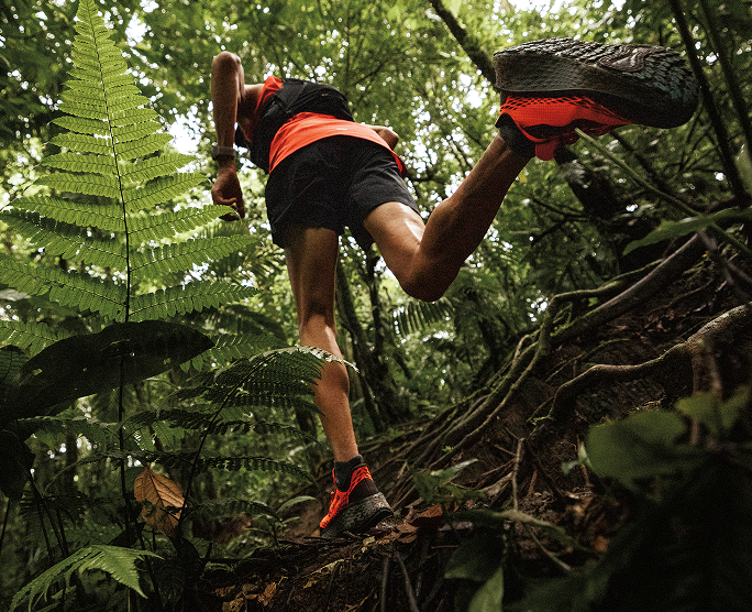 A runner in a dense forest