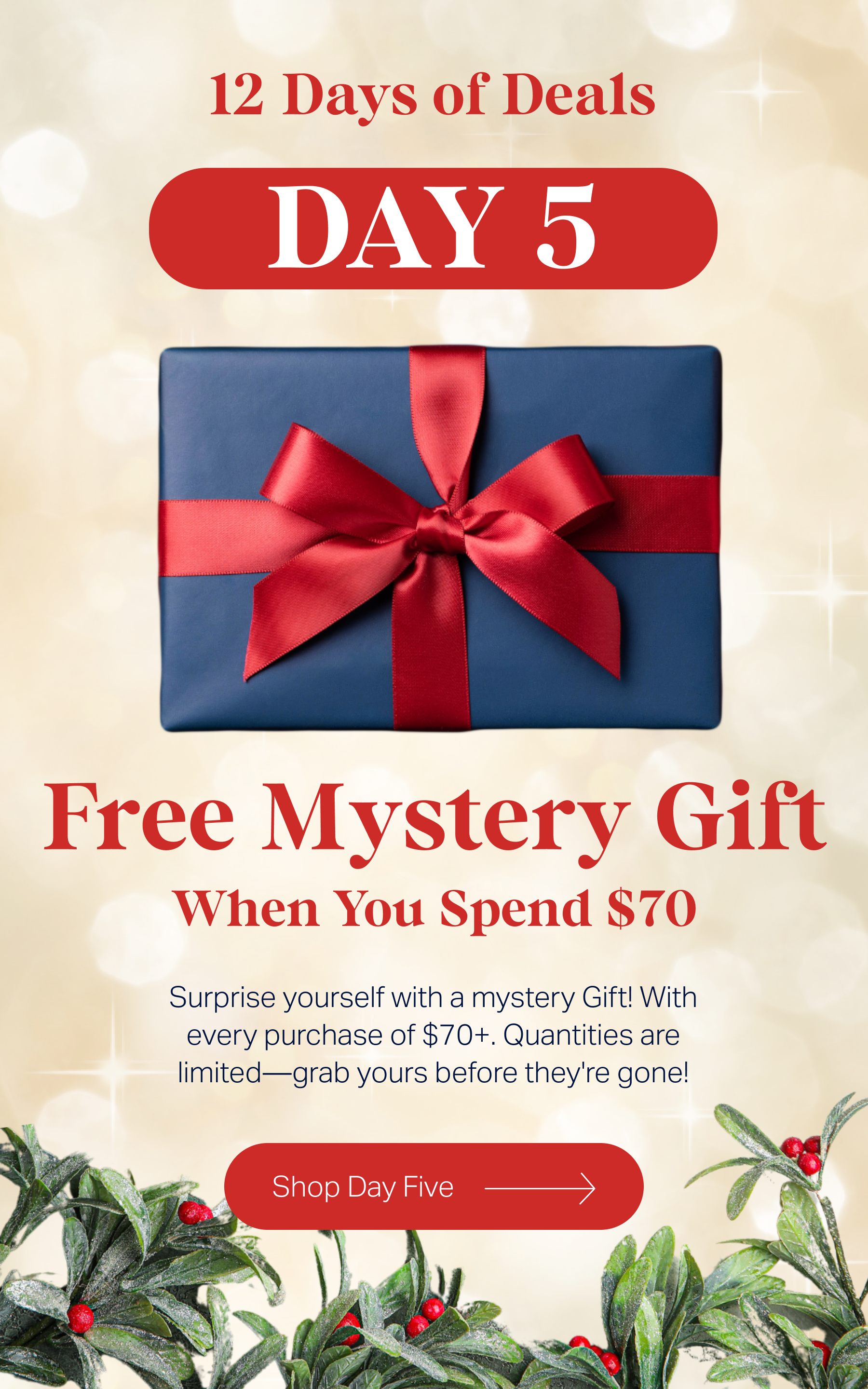 Day Five - 12 Days of Deals