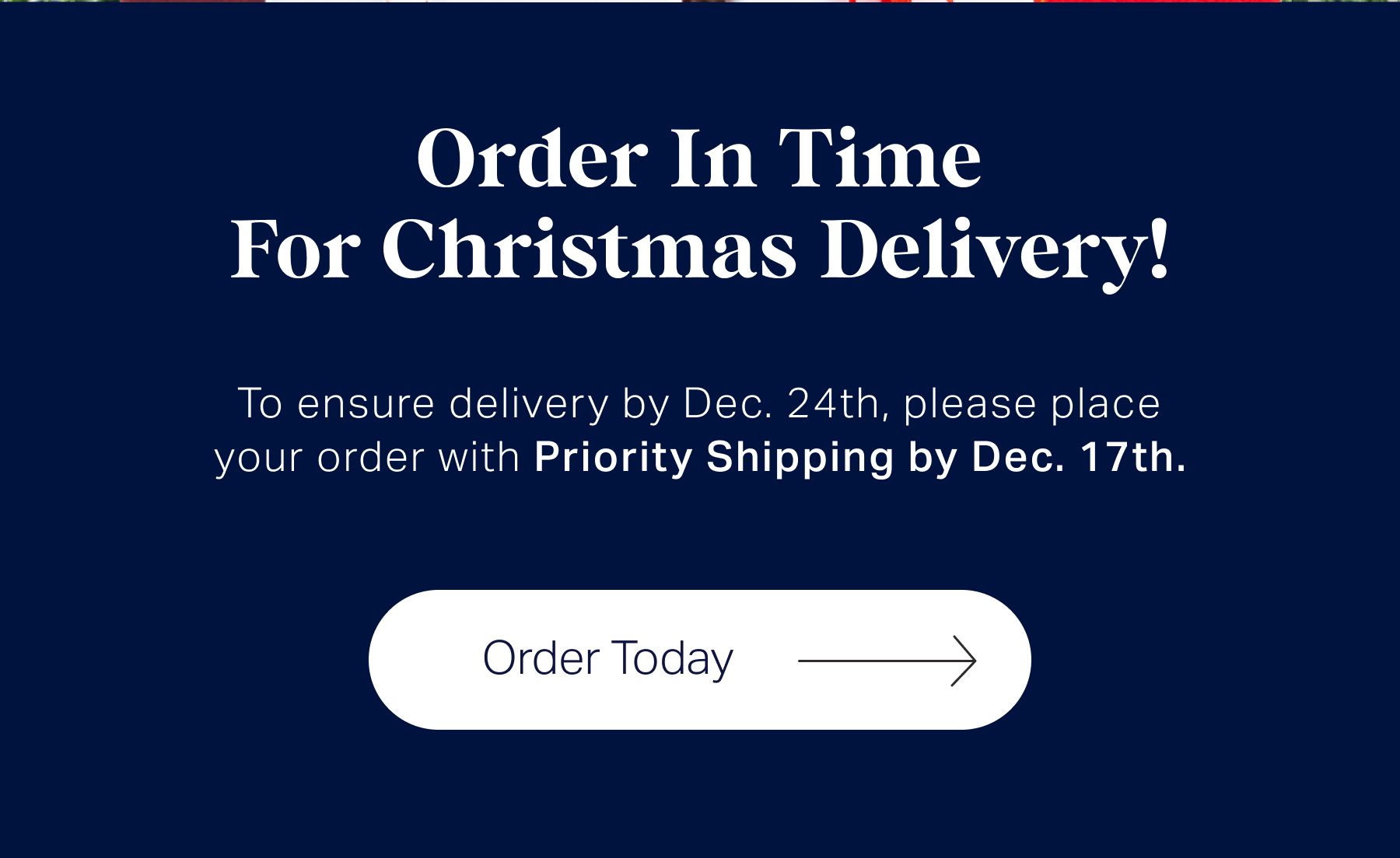 Order in time for Christmas delivery! 