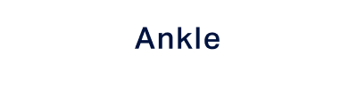 Ankle