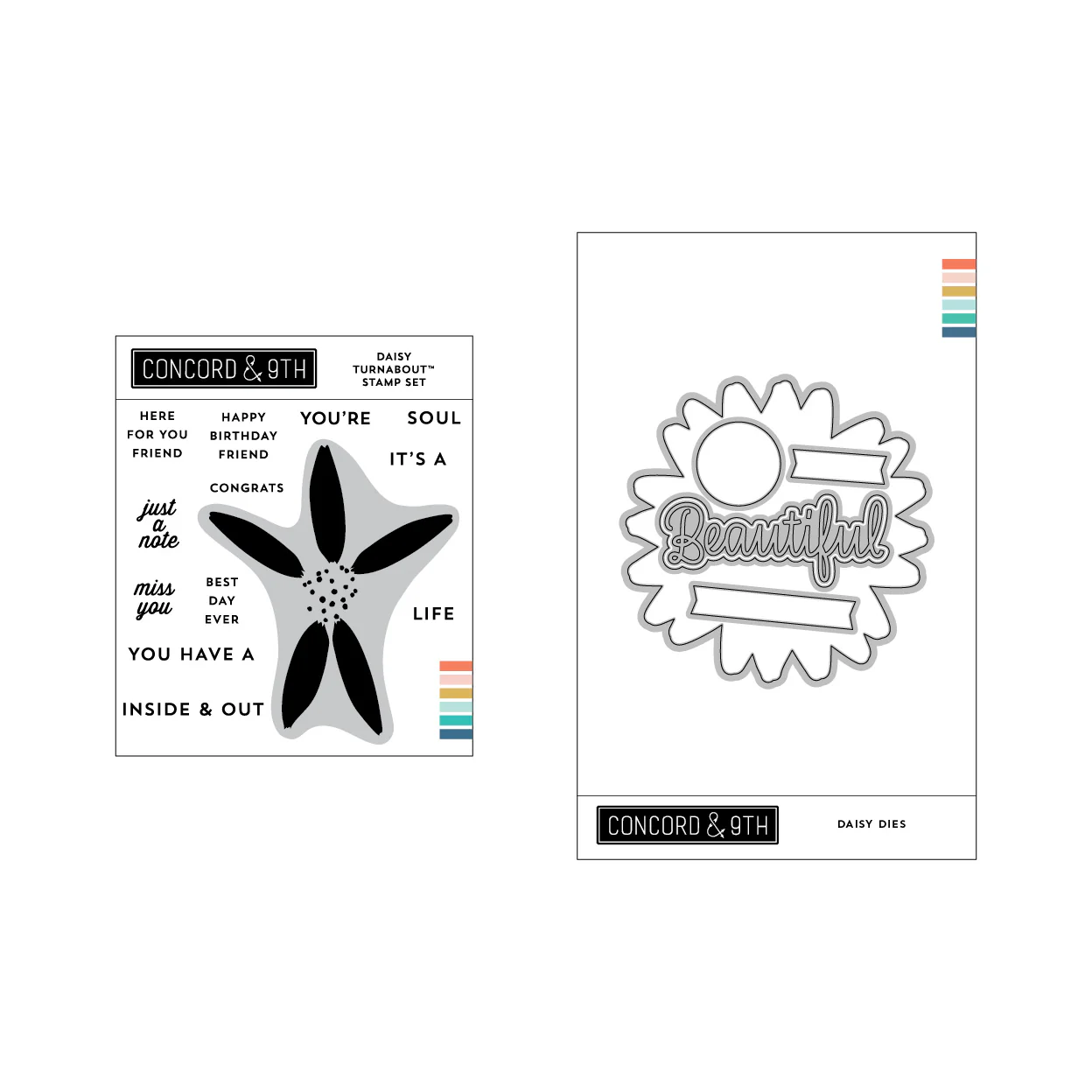 Image of Daisy Bundle