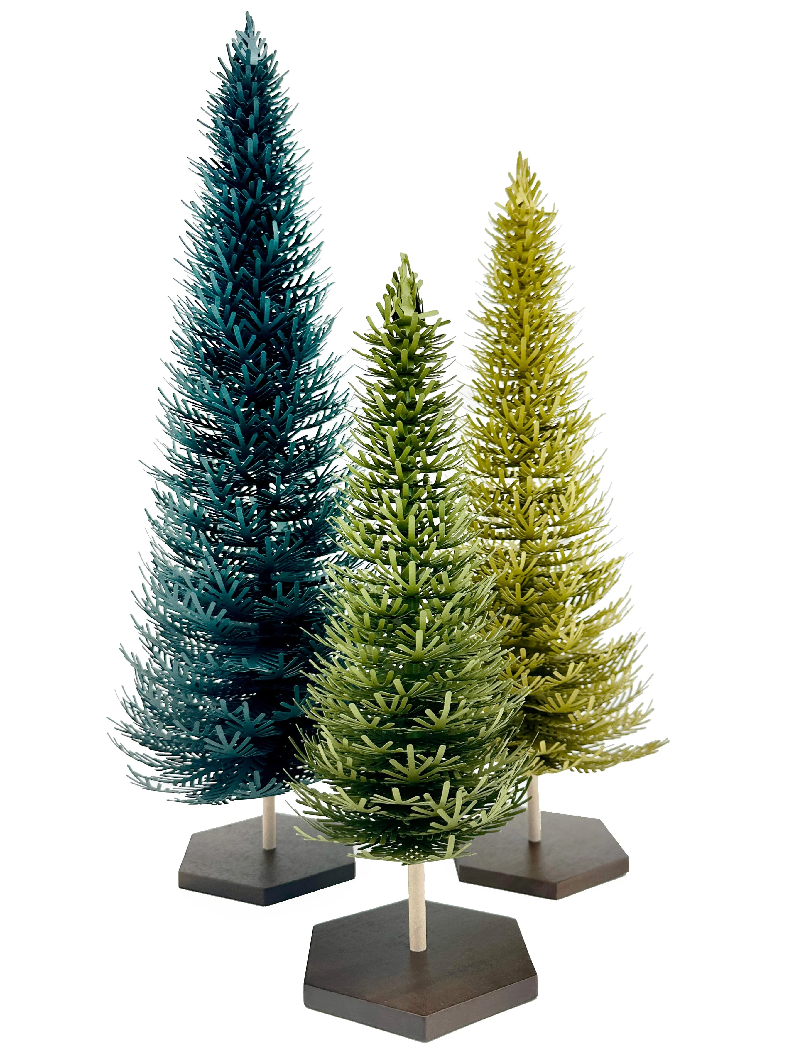 Image of Evergreen Ensemble