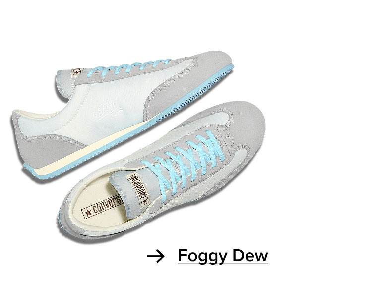 Foggy Dew