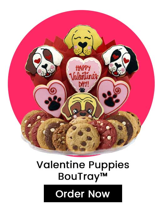 Valentine Puppies