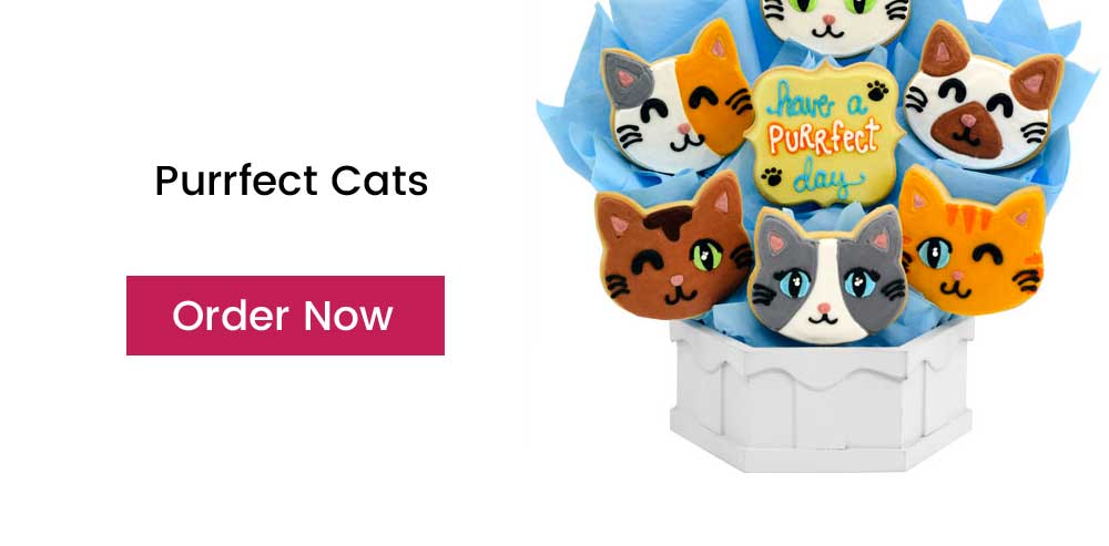 Perfect Cats